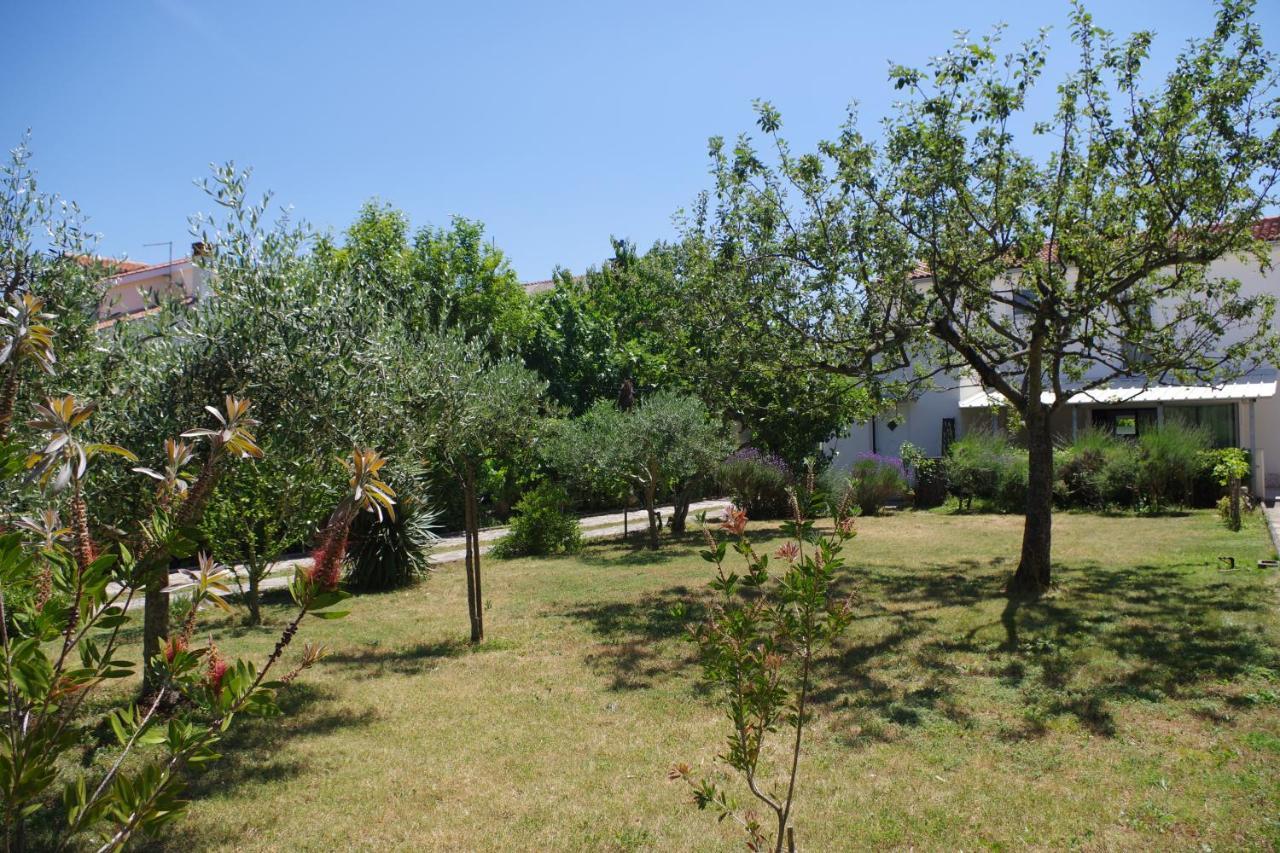 פרמנטורה Holiday House Jasna מראה חיצוני תמונה